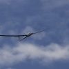 25. Farrenberg-Segelflugwettbewerb