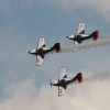 25. Fliegerbergfest Roßfeld 11.09.2010
