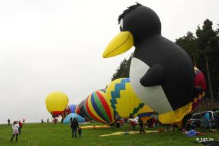 25. Internationales Brigachtaler Modellballon Treffen 09.10.2010