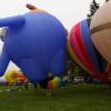 25. Internationales Brigachtaler Modellballon Treffen 09.10.2010