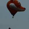 25. Internationales Brigachtaler Modellballon Treffen 09.10.2010