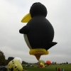25. Internationales Brigachtaler Modellballon Treffen 09.10.2010
