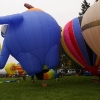 25. Internationales Brigachtaler Modellballon Treffen 09.10.2010