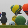 25. Internationales Brigachtaler Modellballon Treffen 09.10.2010