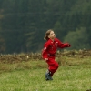25. Internationales Brigachtaler Modellballon Treffen 09.10.2010