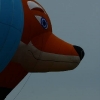 25. Internationales Brigachtaler Modellballon Treffen 09.10.2010