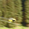 25. OF-Helitreffen Aldingen