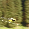 25. OF-Helitreffen Aldingen
