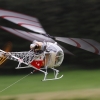 25. OF-Helitreffen Aldingen