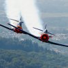 26. Flugtage Rossfeld