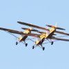 26. Flugtage Rossfeld
