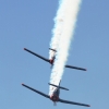 26. Flugtage Rossfeld