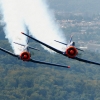 26. Flugtage Rossfeld