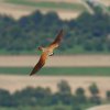 26. Flugtage Rossfeld