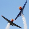 26. Flugtage Rossfeld