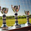 grhecup29