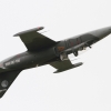 Flugshow MSV-Blaustein