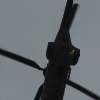 1dfh-3-heliweekend-grenchen-070