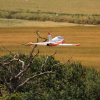3. internationales Airlinertreffen Fliegergruppe Gingen/Fils e. V. 12.07.2015