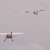 3. internationales Airlinertreffen Fliegergruppe Gingen/Fils e. V. 12.07.2015
