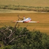 3. internationales Airlinertreffen Fliegergruppe Gingen/Fils e. V. 12.07.2015