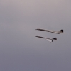 3. internationales Airlinertreffen Fliegergruppe Gingen/Fils e. V. 12.07.2015