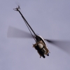 3. internationales Airlinertreffen Fliegergruppe Gingen/Fils e. V. 12.07.2015