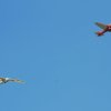 3. Oldtimer- und Luftfahrtfestival Eutingen (Gäu) 14.06.2015