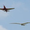 3. Oldtimer- und Luftfahrtfestival Eutingen (Gäu) 14.06.2015