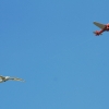 3. Oldtimer- und Luftfahrtfestival Eutingen (Gäu) 14.06.2015
