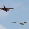 3. Oldtimer- und Luftfahrtfestival Eutingen (Gäu) 14.06.2015