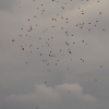 30. InterEx HMSV – Vaihingen/Enz 05.09.2015