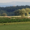 30. InterEx HMSV – Vaihingen/Enz 05.09.2015