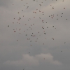 30. InterEx HMSV – Vaihingen/Enz 05.09.2015