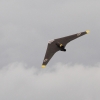 30. InterEx HMSV – Vaihingen/Enz 05.09.2015