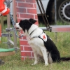 Oldtimer- und Dampfmaschinenfest Eisberg 2014