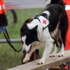 Oldtimer- und Dampfmaschinenfest Eisberg 2014