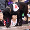 Oldtimer- und Dampfmaschinenfest Eisberg 2014