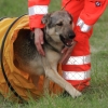 Oldtimer- und Dampfmaschinenfest Eisberg 2014