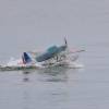32. Graupner Bodensee-Cup Hagnau