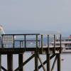 32. Graupner Bodensee-Cup Hagnau
