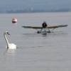 32. Graupner Bodensee-Cup Hagnau