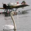 32. Graupner Bodensee-Cup Hagnau