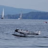 32. Graupner Bodensee-Cup Hagnau