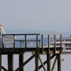 32. Graupner Bodensee-Cup Hagnau