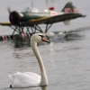 32. Graupner Bodensee-Cup Hagnau