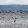 37. Graupner Bodensee-Cup 19.09.2015
