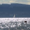 37. Graupner Bodensee-Cup 19.09.2015