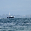 37. Graupner Bodensee-Cup 19.09.2015