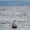 37. Graupner Bodensee-Cup 19.09.2015